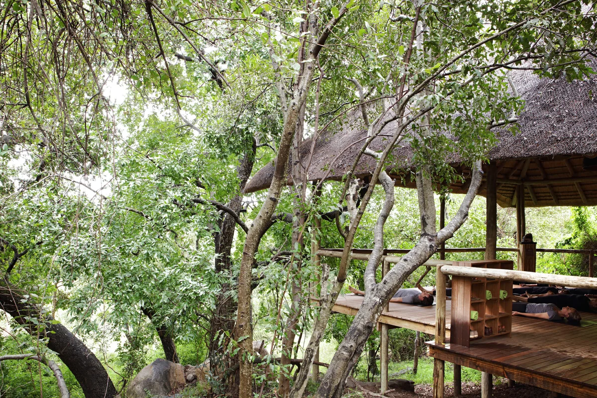 The Londolozi Healing House spa atmosphere detail